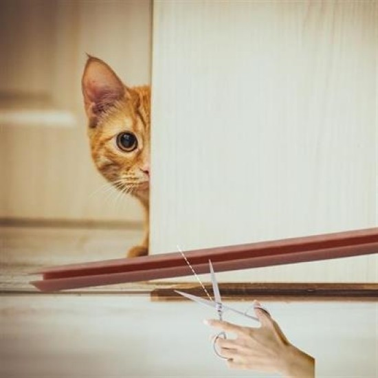 BUFFER® 4 Adet Kapı Toz Rüzgar Önleyici Isı Yalıtımı Sağlayan Sızdırmaz Strafor BUFFER® 4 Adet Kapı Toz Rüzgar Önleyici Isı Yalıtımı Sağlayan Sızdırmaz Strafor