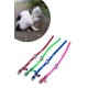 BUFFER® Çıngıraklı Zilli Sevimli Renkli Slikon Kedi Köpek Boyun Tasması BUFFER® Çıngıraklı Zilli Sevimli Renkli Slikon Kedi Köpek Boyun Tasması
