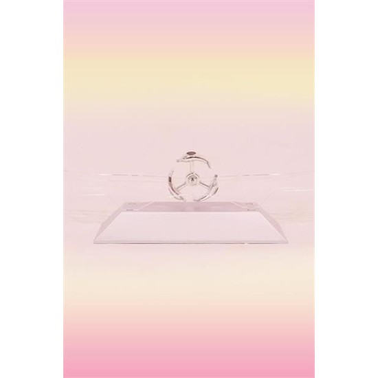 BUFFER® Dekoratif Masa Üstü Obje Manyetik Kinetik Orbital Dönen Yunuslar BUFFER® Dekoratif Masa Üstü Obje Manyetik Kinetik Orbital Dönen Yunuslar