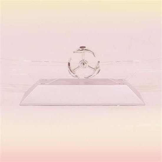 BUFFER® Dekoratif Masa Üstü Obje Manyetik Kinetik Orbital Dönen Yunuslar BUFFER® Dekoratif Masa Üstü Obje Manyetik Kinetik Orbital Dönen Yunuslar