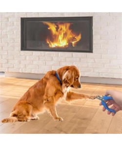 BUFFER® Evcil Hayvan Kedi ve Köpek Paslanmaz Çelik Yaylı Tırnak Makası ve Düzeltme BUFFER® Evcil Hayvan Kedi ve Köpek Paslanmaz Çelik Yaylı Tırnak Makası ve Düzeltme