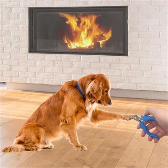 BUFFER® Evcil Hayvan Kedi ve Köpek Paslanmaz Çelik Yaylı Tırnak Makası ve Düzeltme BUFFER® Evcil Hayvan Kedi ve Köpek Paslanmaz Çelik Yaylı Tırnak Makası ve Düzeltme