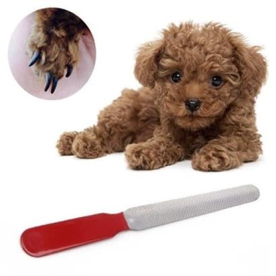 BUFFER® Evcil Hayvan Tırnak Makası Ve Törpü Seti Manikür Pedikür Pati Bakım Aleti Kaymaz Sap BUFFER® Evcil Hayvan Tırnak Makası Ve Törpü Seti Manikür Pedikür Pati Bakım Aleti Kaymaz Sap