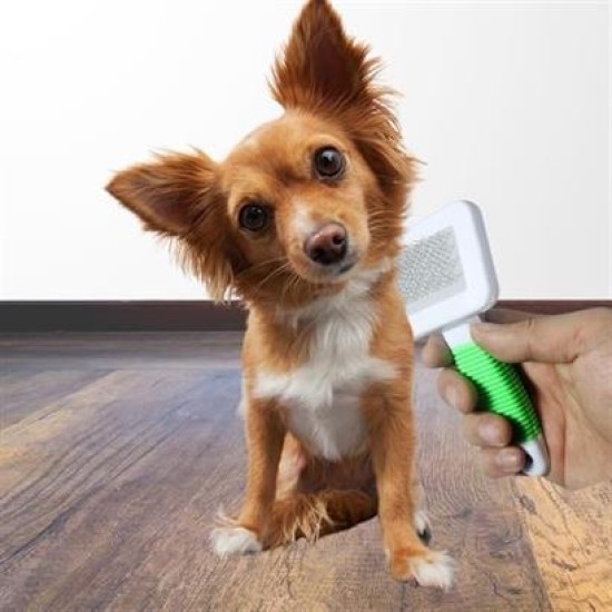 BUFFER® Kedi Köpek Telli Küçük Boy Tüy Bakım Seti Evcil Hayvan Tarama Fırçası BUFFER® Kedi Köpek Telli Küçük Boy Tüy Bakım Seti Evcil Hayvan Tarama Fırçası