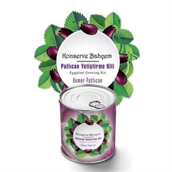 BUFFER® Konserve Bahçem Evde Konservede Kemer PatlıcanYetiştirme Kiti BUFFER® Konserve Bahçem Evde Konservede Kemer PatlıcanYetiştirme Kiti