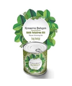 BUFFER® Konserve Bahçem Evde Konservede Kekik Dağ Kekiği Yetiştirme Kiti