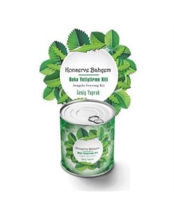 BUFFER® Konserve Bahçem Evde Konservede İri Yapraklı Roka Yetiştirme Kiti