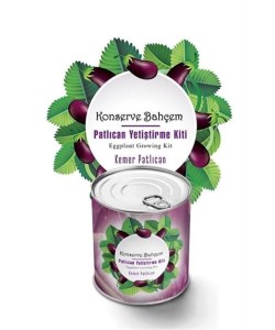 BUFFER® Konserve Bahçem Evde Konservede Kemer PatlıcanYetiştirme Kiti BUFFER® Konserve Bahçem Evde Konservede Kemer PatlıcanYetiştirme Kiti