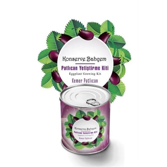 BUFFER® Konserve Bahçem Evde Konservede Kemer PatlıcanYetiştirme Kiti BUFFER® Konserve Bahçem Evde Konservede Kemer PatlıcanYetiştirme Kiti