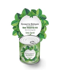 BUFFER® Konserve Bahçem Nane Yetiştirme Kiti BUFFER® Konserve Bahçem Nane Yetiştirme Kiti