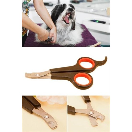 Buffer Küçük Çelik Uçlu Kedi Köpek Evcil Hayvan Tırnak Makası Pati Bakım Aleti Ergonomik Kaymaz Sap Buffer Küçük Çelik Uçlu Kedi Köpek Evcil Hayvan Tırnak Makası Pati Bakım Aleti Ergonomik Kaymaz Sap