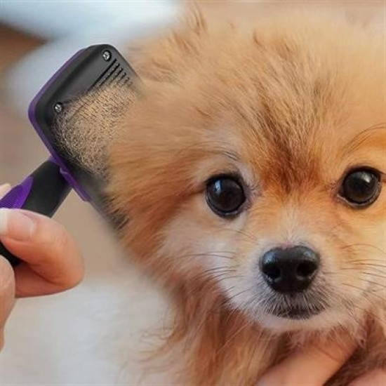 BUFFER® Otomatik Temizlenebilen Tuşlu Pratik Kedi Köpek Tüy Toplama Fırçası BUFFER® Otomatik Temizlenebilen Tuşlu Pratik Kedi Köpek Tüy Toplama Fırçası