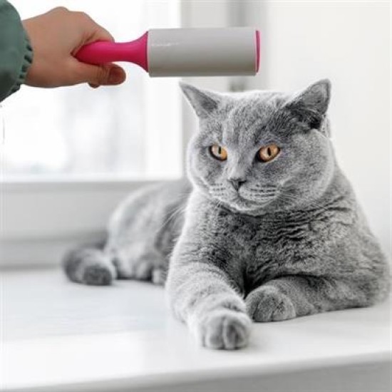 BUFFER® Pratik Tüy Alma ve Temizleme Tüy Toplama Makinesi Rulo Aparat BUFFER® Pratik Tüy Alma ve Temizleme Tüy Toplama Makinesi Rulo Aparat