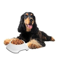 BUFFER® Silikon Kaydırmaz Taban Plastik Kedi ve Köpek Mama ve Su Kabı 2 L BUFFER® Silikon Kaydırmaz Taban Plastik Kedi ve Köpek Mama ve Su Kabı 2 L