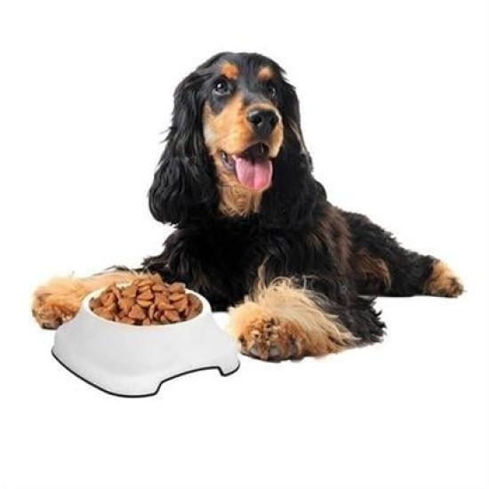 BUFFER® Silikon Kaydırmaz Taban Plastik Kedi ve Köpek Mama ve Su Kabı 2 L BUFFER® Silikon Kaydırmaz Taban Plastik Kedi ve Köpek Mama ve Su Kabı 2 L