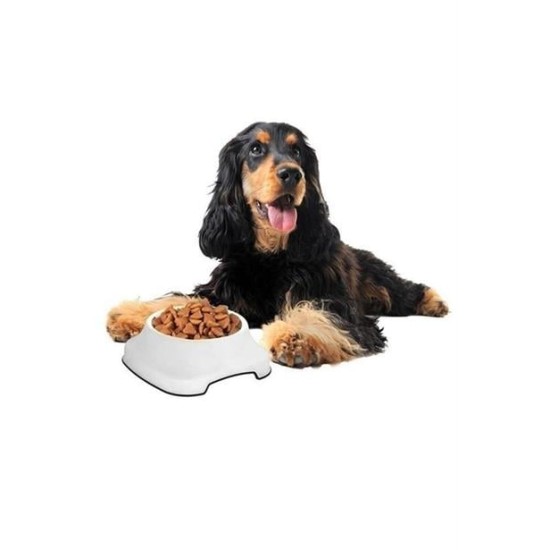 BUFFER® Silikon Kaydırmaz Taban Plastik Kedi ve Köpek Mama ve Su Kabı 2 L BUFFER® Silikon Kaydırmaz Taban Plastik Kedi ve Köpek Mama ve Su Kabı 2 L