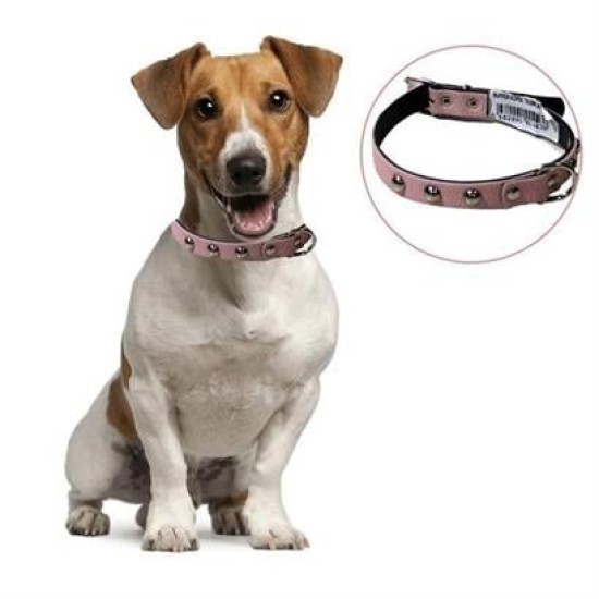 BUFFER® Yumuşak Dokulu Deri Köpek Gezdirme Boyun Tasması Medium BUFFER® Yumuşak Dokulu Deri Köpek Gezdirme Boyun Tasması Medium